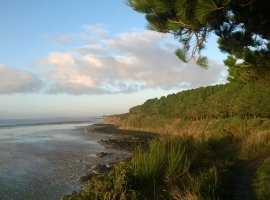 Vue du sentier au départ de Billiers