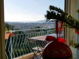 Vue de la terrasse côte sud