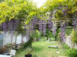 le jardin