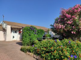 Jardin avec table de ping-pong