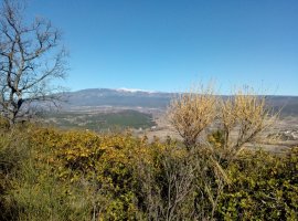 maison T4 à Avignon centre ville