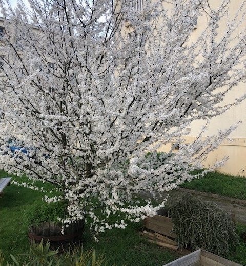 APPARTEMENT À RENNES EN BRETAGNE