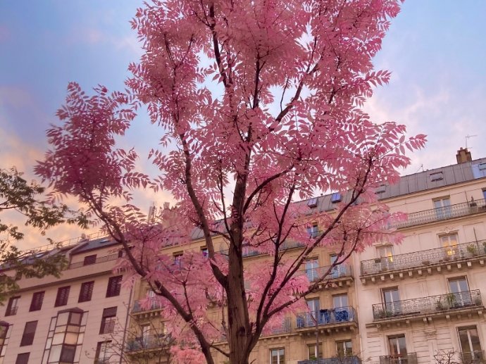 Bienvenue à Paris centre quartier calme et rempli d’histoire
