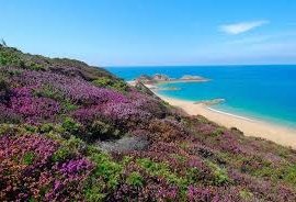 plage du Portuais