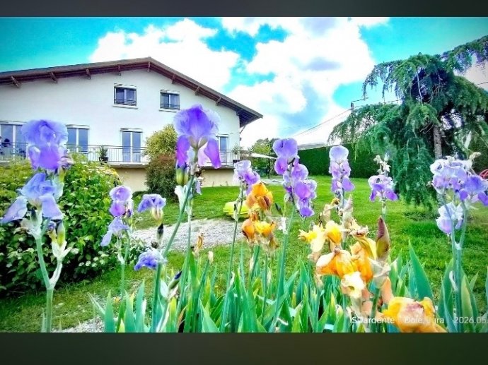 Maison dans le Jura